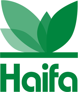Haifa