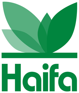 Haifa