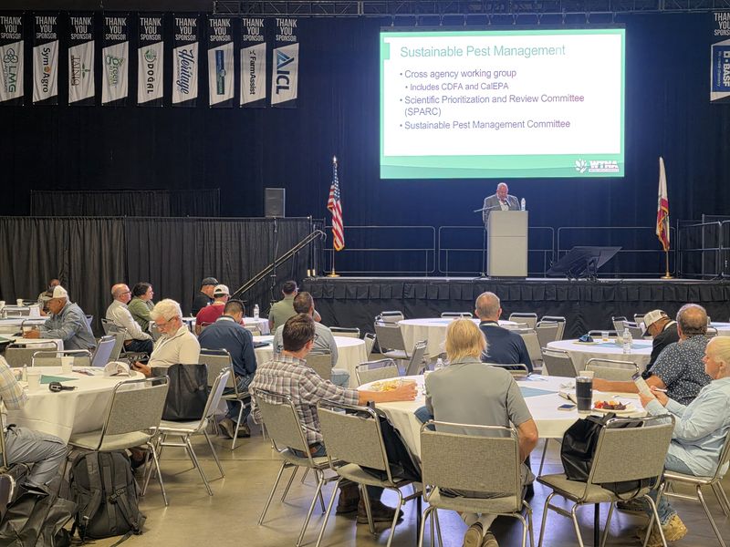 Attendees at round tables facing the stage during the Day 1 opening session