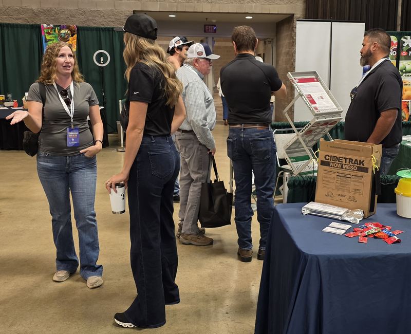 Attendees in conversation at a booth on the trade show floor