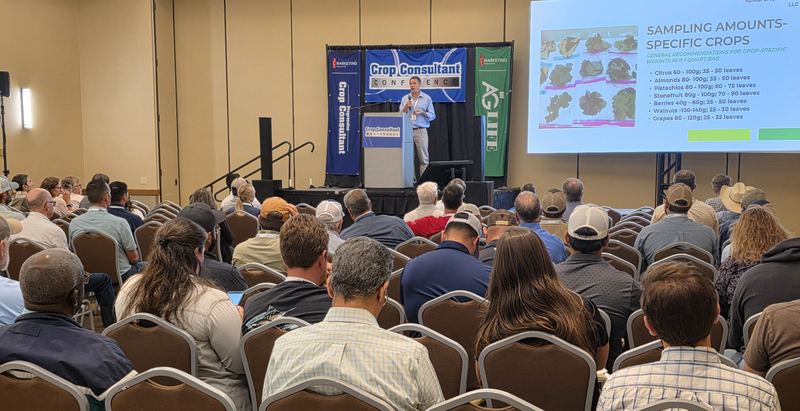 A crowded breakout room watching a presentation on leaf sampling by crop