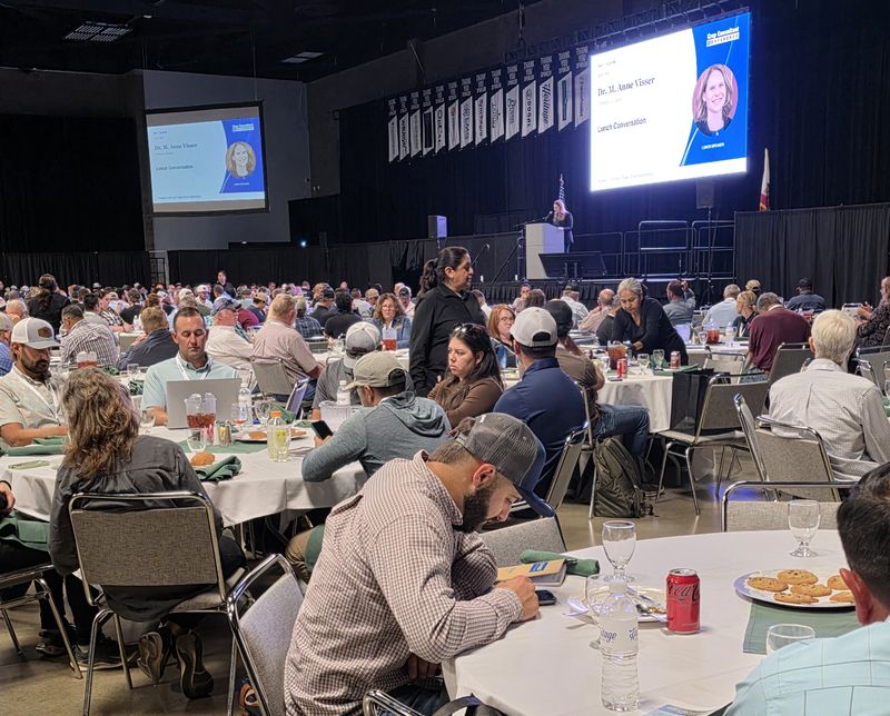 Attendees at lunch tables with the speaker on the big screens