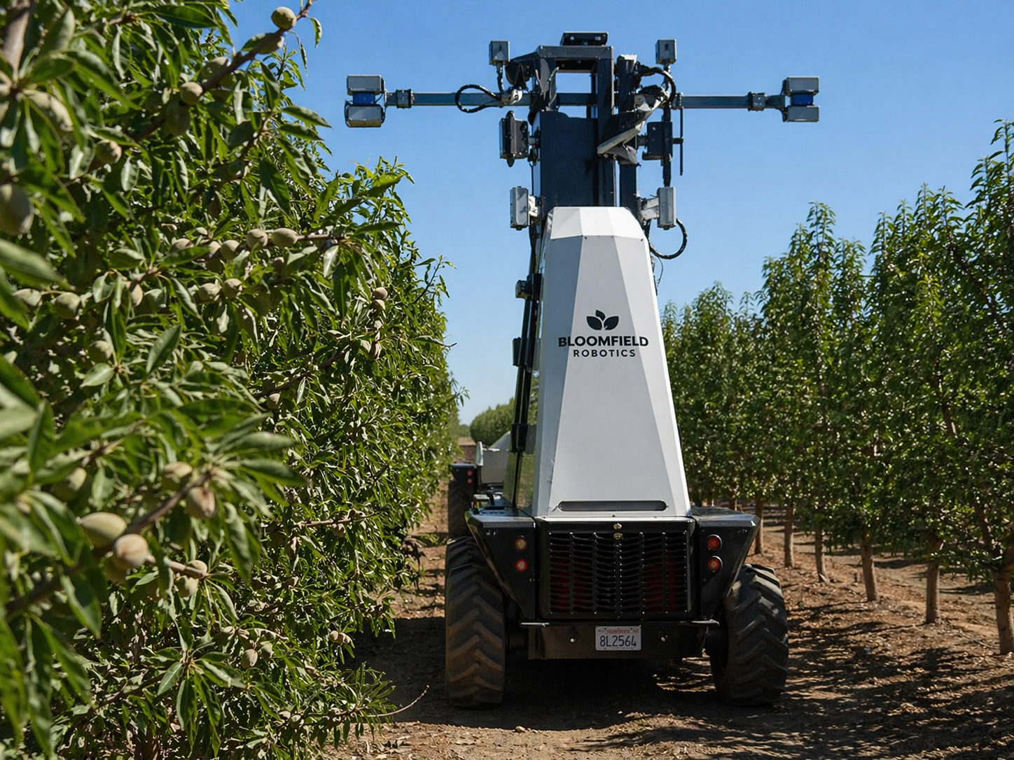 Autonomous orchard robotics platform moving through an almond orchard