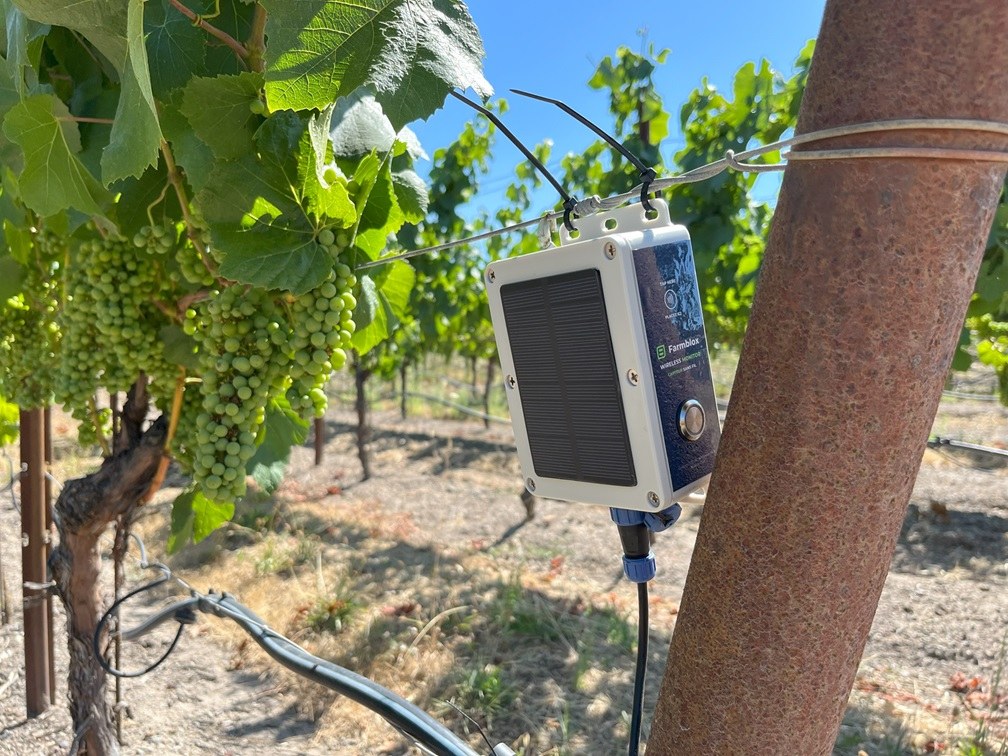 A Farmblox solar-powered sensor mounted on a vineyard trellis monitors irrigation in a California wine-grape vineyard