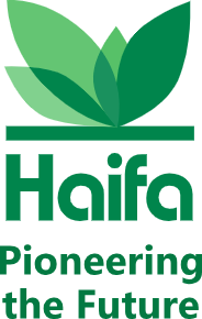 Haifa